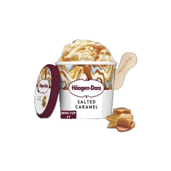 Petit pot de glace